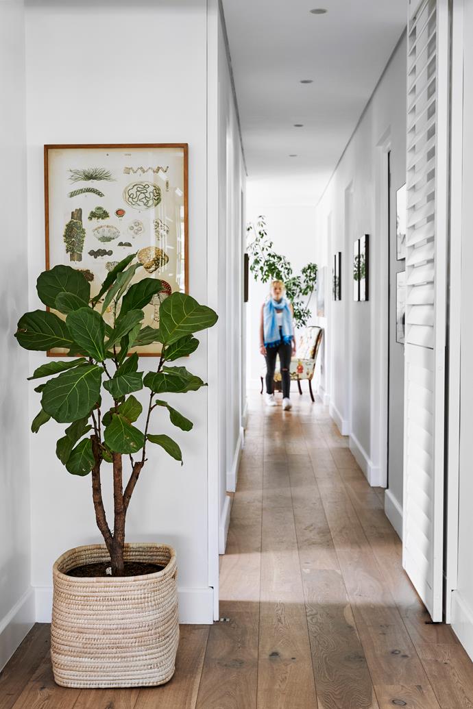 A botanical artwork (artist unknown) and one of Angela's beloved plants lift the neutral palette in the hallway.