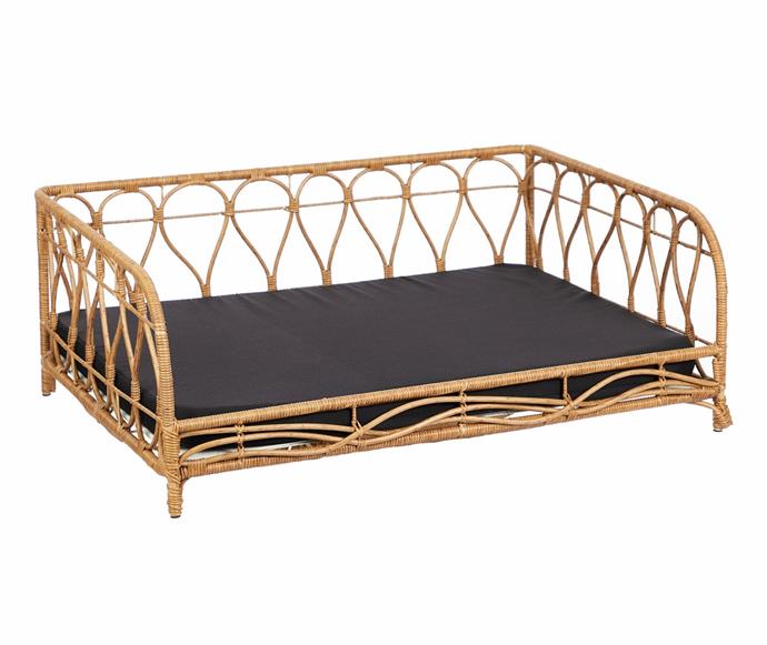 **[Artemisia rectangular rattan pet bed, $214, Temple&Webster](https://www.templeandwebster.com.au/Artemisia-Rectangular-Rattan-Pet-Bed-COHO1891.html|target="_blank"|rel="nofollow")**<br> 
We'd be remiss to not include something for our furry friends, and this outdoor cane dog bed is just too cute. Who said something so functional couldn't also be stylish? **[SHOP NOW](https://www.templeandwebster.com.au/Artemisia-Rectangular-Rattan-Pet-Bed-COHO1891.html|target="_blank"|rel="nofollow")**. 