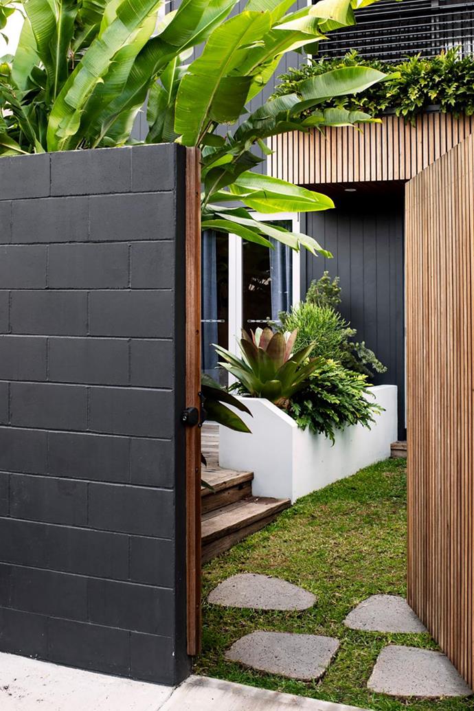 This [6 x5.4m rectangle of lawn](https://www.homestolove.com.au/small-tropical-garden-with-low-maintenance-plants-20836|target="_blank") framed by concrete block boundary walls proves that small needn't mean uninspiring.