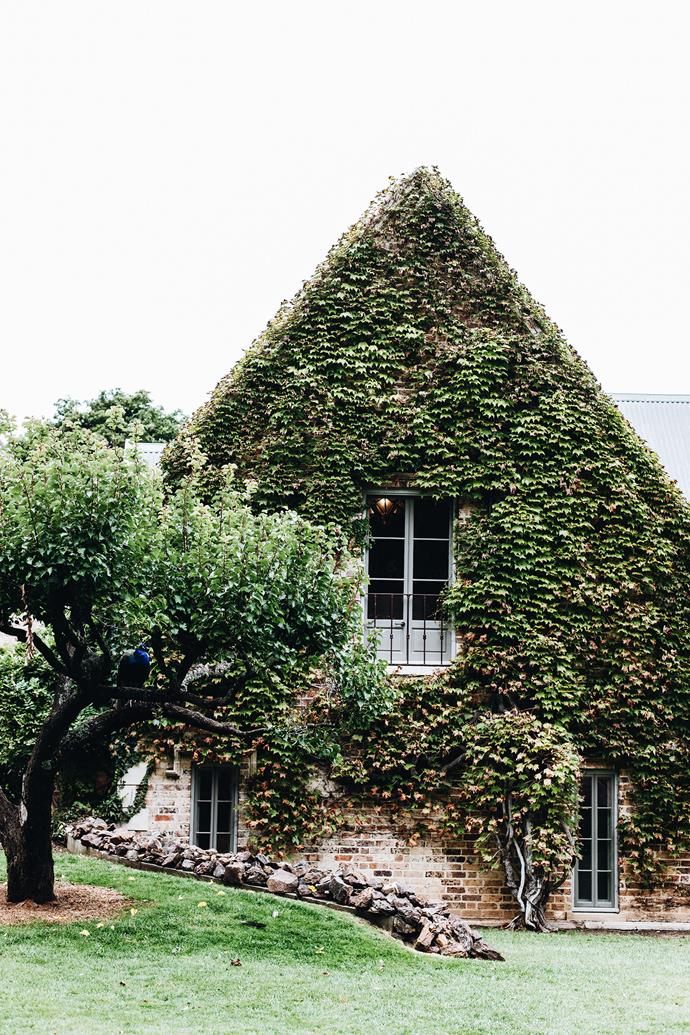 The Boston-ivy enveloped exterior of [this stately country home](https://www.homestolove.com.au/wollumbi-estate-southern-highlands-nsw-23339|target="_blank") in the Southern Highlands has stood as it is since the 1900s. The added texture gives an indication of the rich, layered interiors that exist within - vaulted wooden ceilings, French doors, stone fireplaces and architraves - which have recently been revived by homeowner Amanda. 