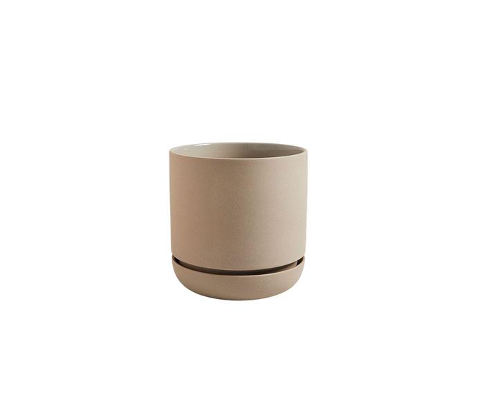 **[Andy Medium Planter, $79.95, Country Road](https://www.countryroad.com.au/andy-medium-planter-60255056-115|target="_blank"|rel="nofollow")** 

Warm neutral tones have made a big compact recently, and this sweet little pot ticks all the boxes. In a delicate 'natural' tone, the Country Road pot would look adorable on a kitchen window sill. **[SHOP NOW.](https://www.countryroad.com.au/andy-medium-planter-60255056-115|target="_blank"|rel="nofollow")** 
