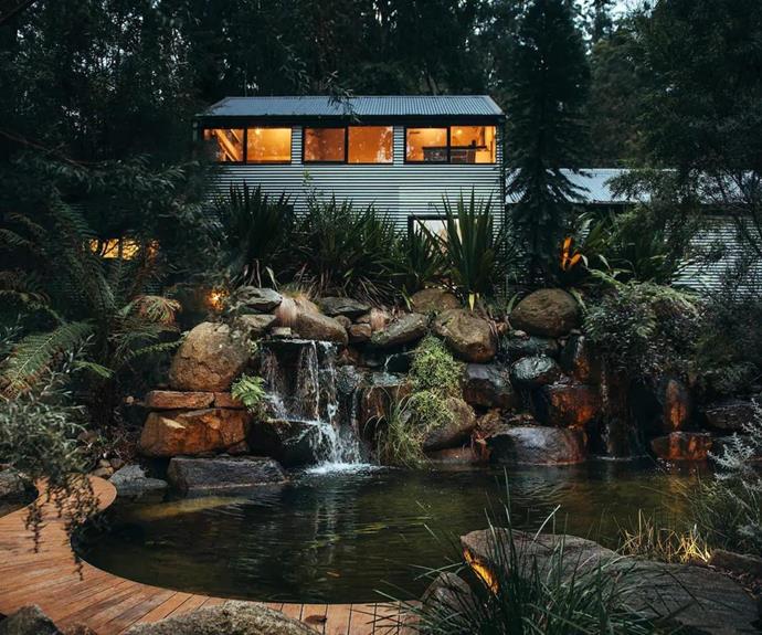 **Billabong Falls, Olinda**<br>
Everyone loves a [natural freshwater pool](https://www.homestolove.com.au/natural-swimming-pools-19506|target="_blank"), and this uber-cool accommodation is home to one designed by winning landscape designer Phillip Johnson. Nestled within the Dandenong Ranges and surrounded by Mountain Ash and plenty of Australian bushland, you and your furry friend will have an absolute ball.<br>
To book, visit **[Billabong Falls](https://www.airbnb.com.au/rooms/15889371|target="_blank"|rel="nofollow")**.
