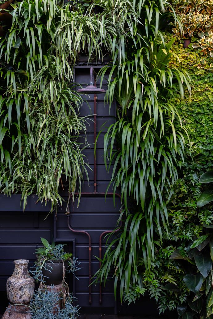 Incorporate form with functionality to suit your lifestyle, like this outdoor shower nestled into a lush outdoor vertical garden.