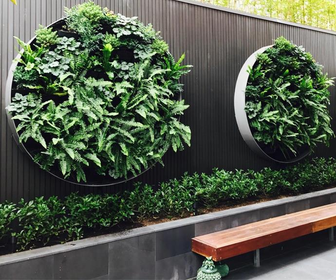 Don't stop at one. Multiple vertical gardens can span an entire wall.