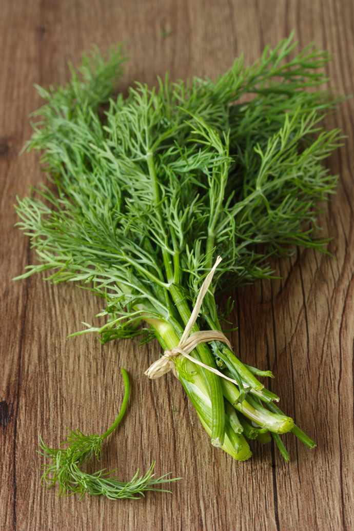 Fluffy and flavoursome, dill pairs perfectly with salmon dishes.