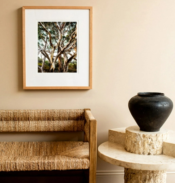 **[Eucalyptus print, from $290, Kara Rosenlund](https://shop.kararosenlund.com/eucalyptus-photographic-print/|target="_blank"|rel="nofollow")**

"I love how Kara captures the 'Strayan landscape without being kitschy or boring. Her photographs are almost painterly, using the natural colours and light available - not unlike the Australian impressionists of the late 1800s. If only Tom Roberts had Instagram back then." - *Hanna Marton - Senior Content Producer*