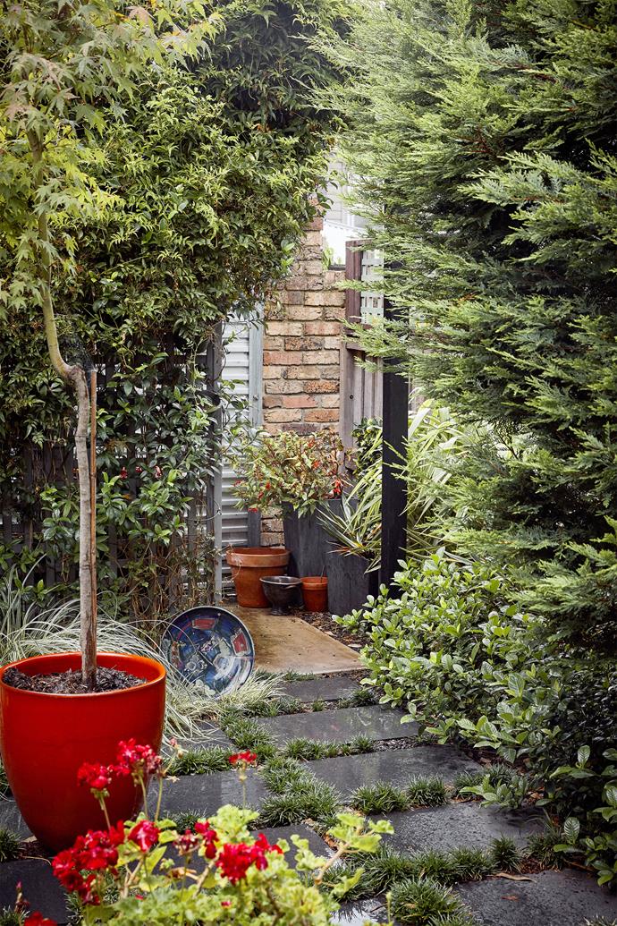 Featuring a Japanese maple in a large orange planter pot from Garden Life, this courtyard creates an instant calm.