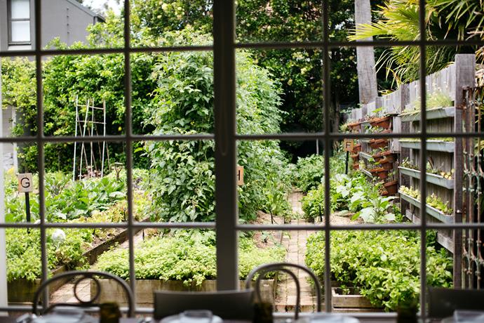 The view of Chiswick's kitchen garden from the dining room.