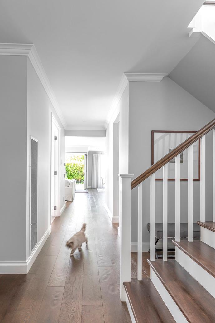 **HALLWAY** Bella the cat pads past the stairwell crafted with [stained timber treads](https://www.homestolove.com.au/staircase-design-ideas-18663|target="_blank") and railings in Dulux Lexicon Half.