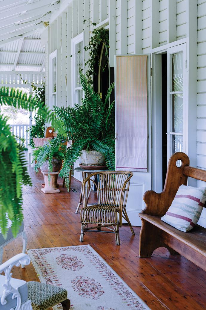 Glossy ferns flourish on the verandah.