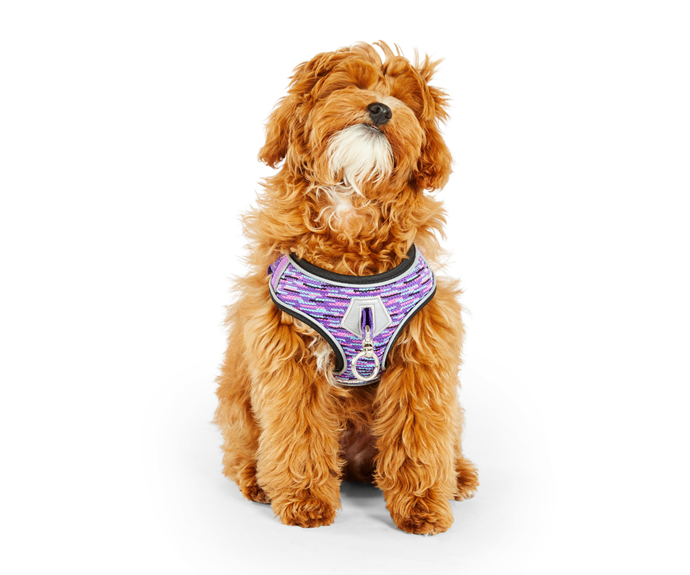 **[Pup crew pro reflex trainer harness in Purple, from $39.99, Petbarn](https://www.petbarn.com.au/pup-crew-pro-reflex-trainer-dog-harness-purple|target="_blank"|rel="nofollow")** 
<br>
Is your pup a little...enthusiastic? Don't worry, this stylish and springy training harness is designed to give you the ultimate control, while offering them all the comfort. A reflective detail means its safe at night, you can even get a matching lead and collar. **[SHOP NOW](https://www.petbarn.com.au/pup-crew-pro-reflex-trainer-dog-harness-purple|target="_blank"|rel="nofollow")**.