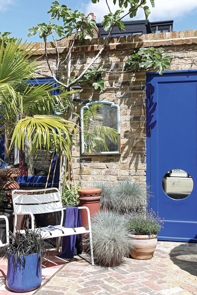 The garden has allowed Mallika to fully exercise her love of Yves Klein blue, painting her studio doors in the hue and fashioning a statement backdrop. "The porthole windows in the studio doors were designed to mark the heights of each of us when we moved in, so there's an adult-height window, a Freya-height window and an Indi-height window," says Mallika. For similar pots, try [Garden Life](https://gardenlife.com.au/|target="_blank"|rel="nofollow") and other large garden stores.