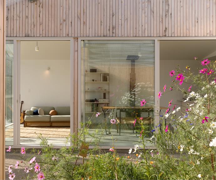 Wildflowers grow happily in the open interior courtyard of this Wellington home. The seeds were a housewarming present from the architects to the residents, a couple and their two small children, on completion of the build.