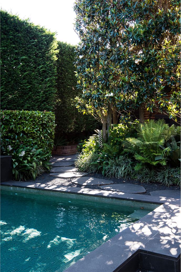The planting around the pool needed to provide shade to swimmers, but also visual splendour from inside the house.