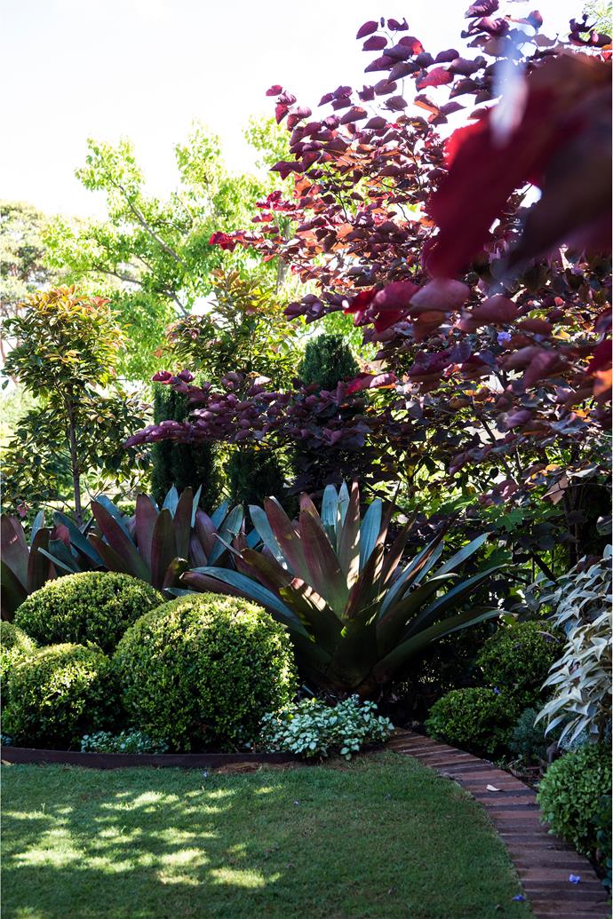 Purple tones are present throughout the garden, in the brickwork, giant bromeliads (*Alcantarea imperialis* 'Rubra')and three Forest Pansies (*Cercis canadensis* 'Forest Pansy').