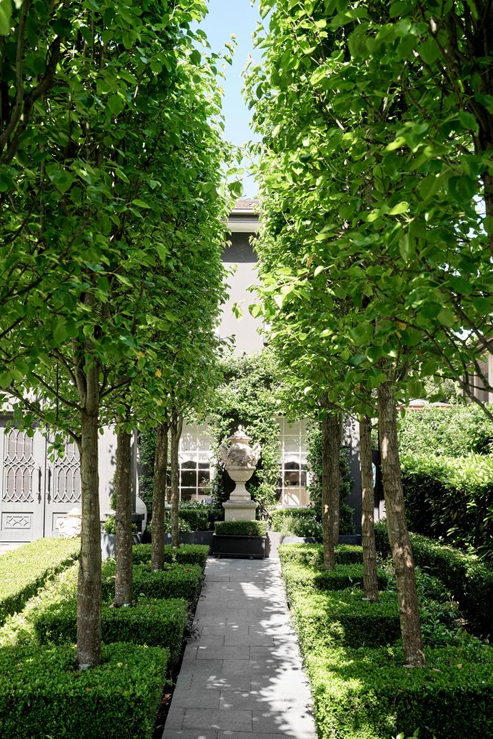 A terracotta urn from The Country Trader is a focal point on the Manchurian pear-lined approach to the house.