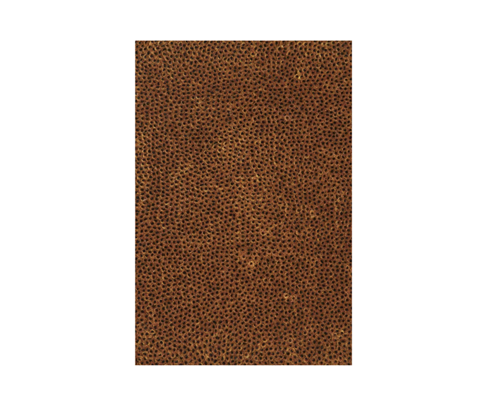 **[Coral cut rug in Dark Bronze with Black Core, POA, Designer Rugs](https://www.designerrugs.com.au/collections/in-house-collections/textures-collection/coral-cut-dark-bronze-black-core/|target="_blank"|rel="nofollow")**<br>
Hand tufted from 100% New Zealand wool, this velvety smooth rug adds both colour and texture wherever it sits. Also available in Blue and Mint Green, and made-to-order in custom sizes, shapes colours. **[SHOP NOW](https://www.designerrugs.com.au/collections/in-house-collections/textures-collection/coral-cut-dark-bronze-black-core/|target="_blank"|rel="nofollow")**