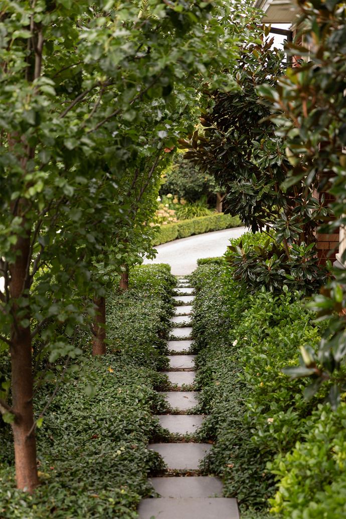 This leafy passage leads from the pavilion to the driveway.