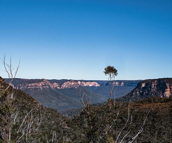 Skip the concrete and convenience of the freeway to instead take a magical journey along Bells Line of Road, an early passage into the NSW Blue Mountains.