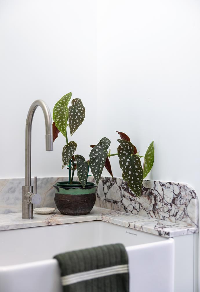 A polka dot Begonia maculata 'Wightii' adds a living element to the bathroom. Parisi tapware, marble from Stone In Style, Turner Hastings basin.