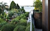A rooftop garden softened with mass sculptural plantings