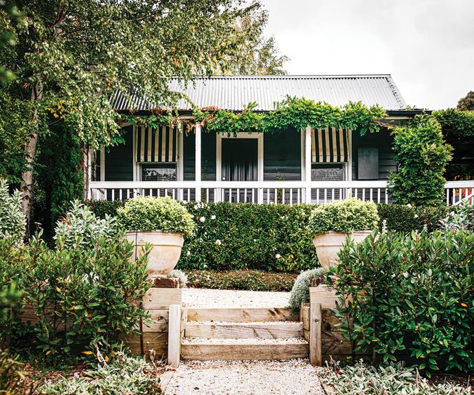 The garden is [inspired by Mediterranean design](https://www.homestolove.com.au/modern-mediterranean-garden-20406|target="_blank"). "It's a garden you'd see in the south of France or Italy," Simon explains.