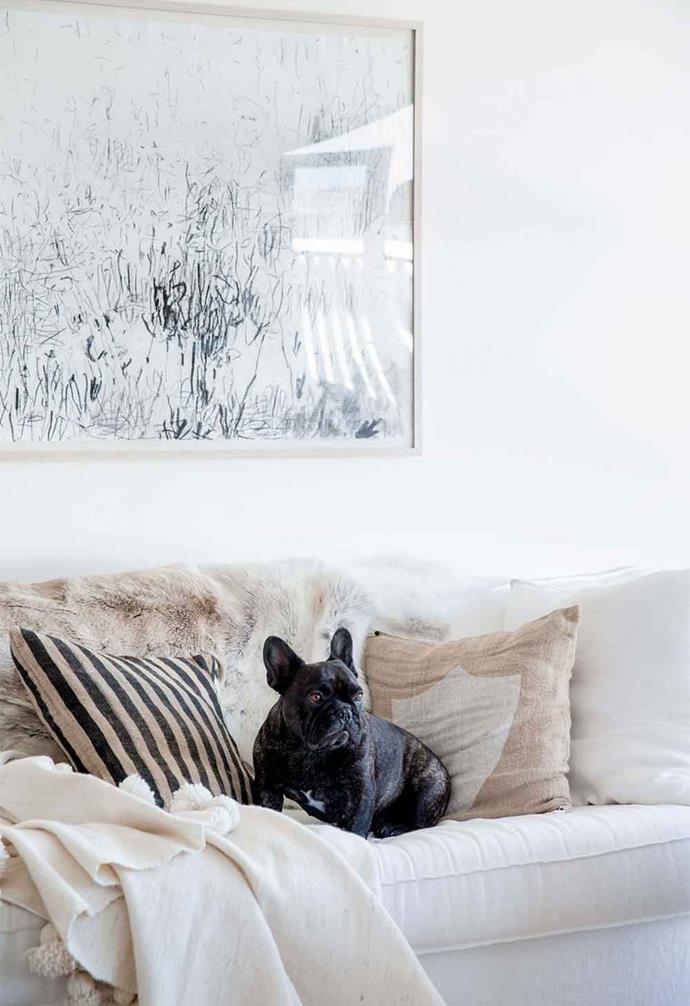 "You know [this house really is lived in](https://www.homestolove.com.au/kylie-gillies-at-home-22640|target="_blank") when the dog can chew your chair and it's okay!" says Kylie Gillies of an armchair her French Bulldog Tilly has taken an unfortunate liking to.