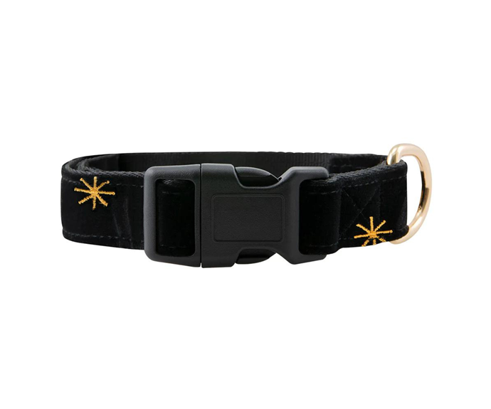 **[DGG Furrsace dog collar, $19.97, Petstock](https://www.petstock.com.au/products/dgg-furrsace-dog-collar|target="_blank"|rel="nofollow")**<br>
Your mate will feel like a real star in the DGG Furrsace collar, which features starburst stitching and a velvet feel. **[SHOP NOW](https://www.petstock.com.au/products/dgg-furrsace-dog-collar|target="_blank"|rel="nofollow")**