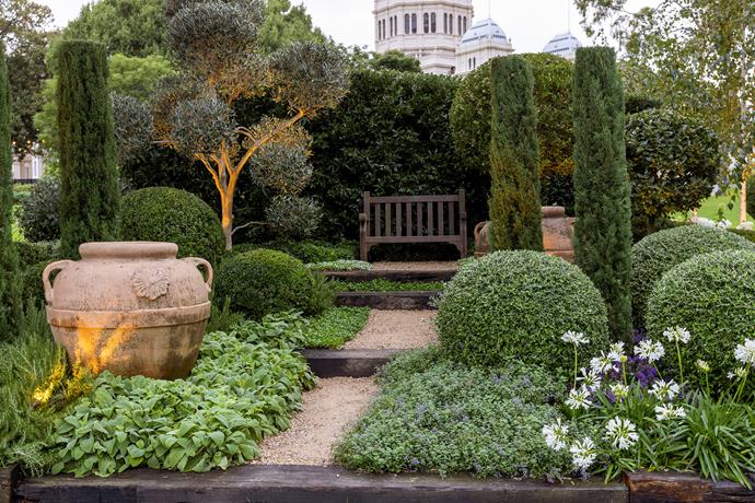 A gravel pathway and seating nook is flanked by clipped spheres of Teucrium and box, a cloud-pruned olive tree and square-topped pencil pines. [Groundcovers include lamb's ear](https://www.homestolove.com.au/5-flowering-groundcovers-for-australia-5674|target="_blank") and Teucrium, with pops of colour from salvia and agapanthus.