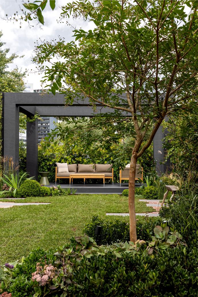 The pergola was designed with views across the lawn to undulating garden beds; in the foreground, a [crepe myrtle tree](https://www.homestolove.com.au/plant-guide-crepe-myrtle-9562|target="_blank") (*Lagerstroemia' Natchez'*) is underplanted with Rhaphiolepis' Snow Maiden' and Sedum' Matrona'. The plantings at the front were "lively and light-loving", says Carolyn; species include Buxus japonica (clipped into spheres to echo the circular aperture), Miscanthus sinensis 'Flamingo', Mexicanlily (*Beschorneria yuccoides*), Sedum 'Matrona' and *Ceratostigma plumbaginoides*.