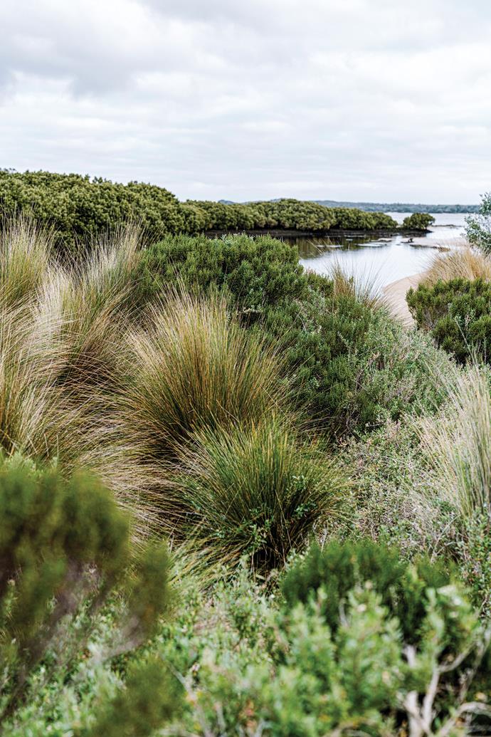 Kathleen loves exploring the trails around Inverloch, which is close to Bunurong Marine National Park.