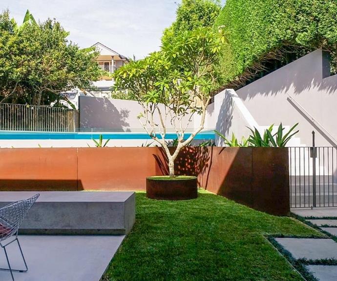 The textural, diverse garden of this contemporary home is a visual delight from indoors.