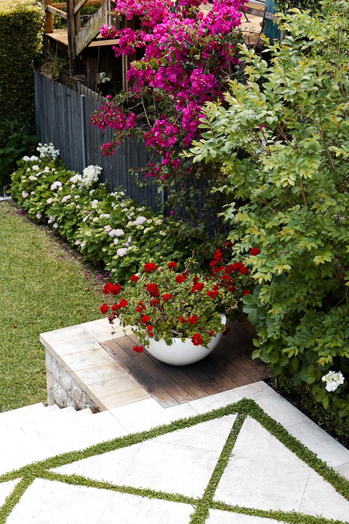 Red geraniums in white pots fulfil the owner's wish for the presence of traditional flowers and add zing to the paved patio.