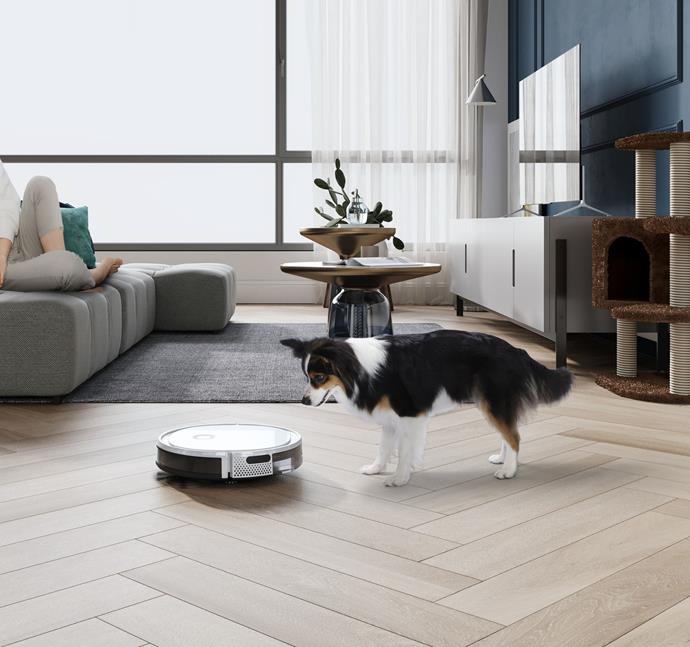 A robot vacuum is the most efficient way to keep your home clean and pet hair-free.