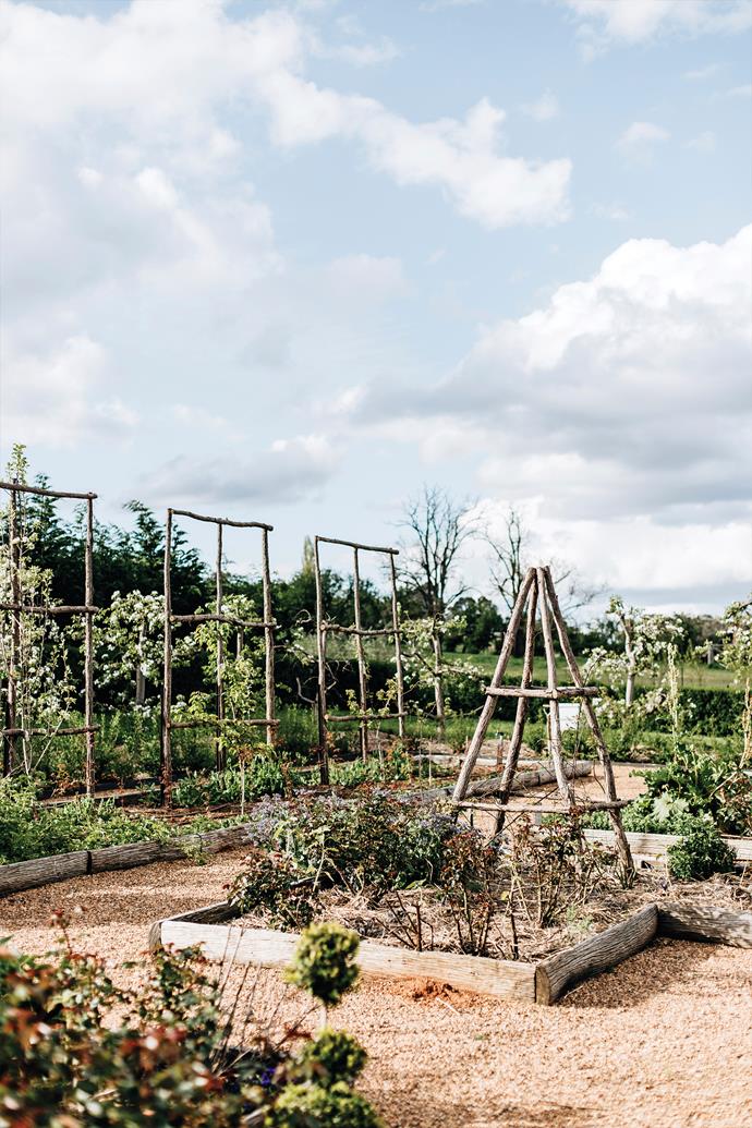 At Steve Cordony and Michael Booth's property, [Rosedale Farm](https://www.homestolove.com.au/steve-cordony-country-garden-rosedale-farm-24340|target="_blank"), a thriving vegie patch was always a big part of their plan. Complete with its own potting station, the half-hectare garden is complete with raised beds crafted from weathered, silvered timbers rescued from a crumbling hayshed. "Once we get more into a cycle, we'll sell produce at the farmers' market and give the money to charity," says Steve.