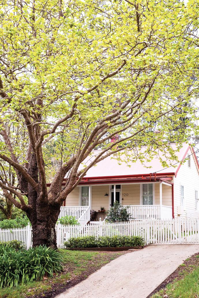 A [pretty weatherboard cottage in Wentworth Falls](https://www.homestolove.com.au/stylists-weatherboard-cottage-wentworth-falls-24362|target="_blank") in the Blue Mountains, NSW, makes the perfect backdrop for a stylist's beloved collection of vintage finds.