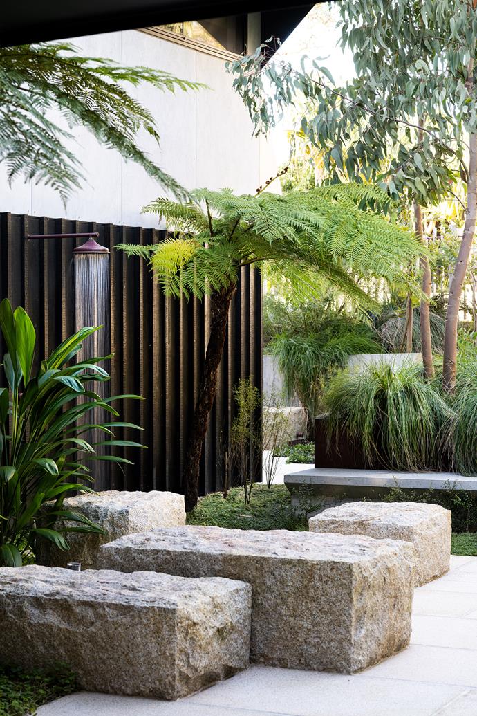 Plantings in the main courtyard include Australian tree fern (*Cyathea cooperi*) and scribbly gum (*Eucalyptus haemastoma*), underplanted with native violet (*Viola hederacea*) [as a groundcover](https://www.homestolove.com.au/5-flowering-groundcovers-for-australia-5674|target="_blank"). Outdoor shower, Brooklyn Copper Co.