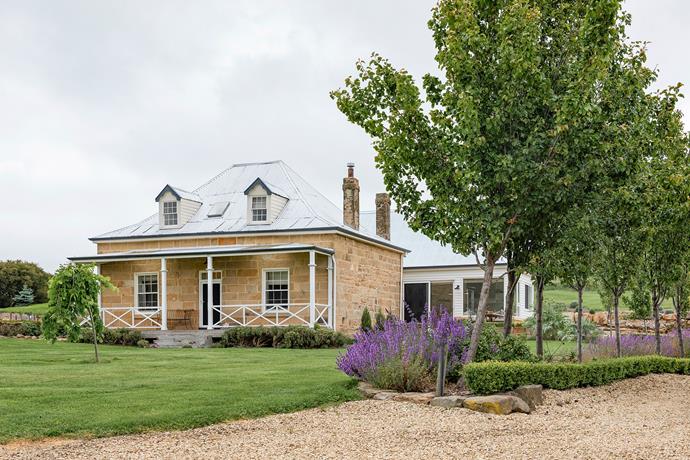 In this [Georgian sandstone cottage,](https://www.homestolove.com.au/georgian-sandstone-cottage-oatlands-tas-24622|target="_blank"), a beautiful country garden filled with catnip, English boxwood hedge, 'Capital' pear trees and Daphne odora 'Alba' flowers in the front yard.