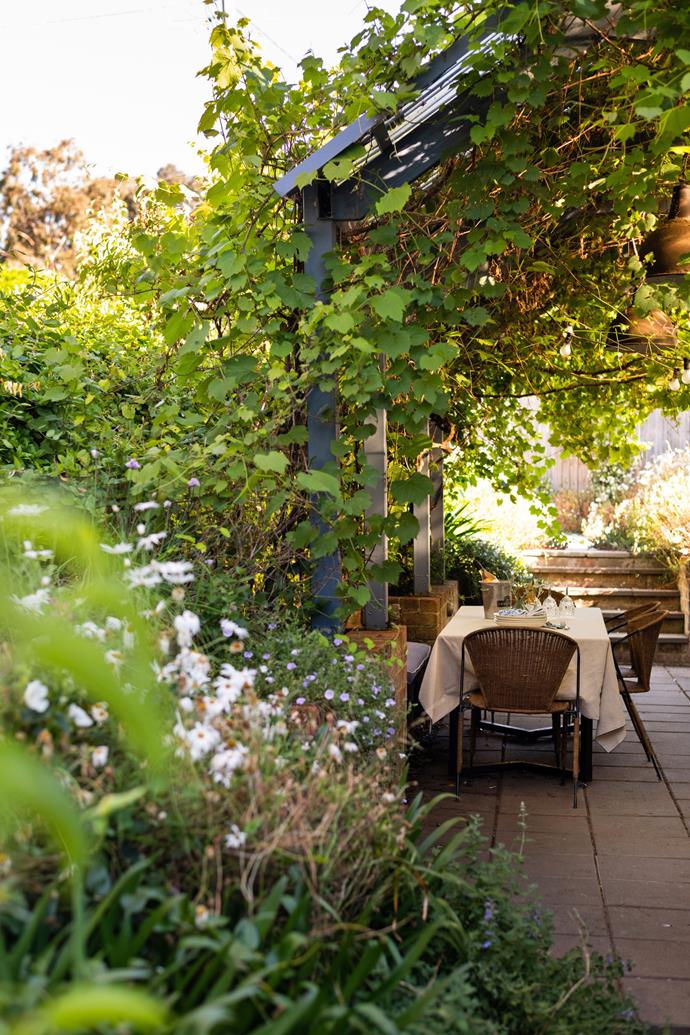 I[n this cosy Binalong cottage, which has been lovingly restored,](https://www.homestolove.com.au/honeysuckle-cottage-restoration-binalong-24830|target="_blank") the leafy, plant-filled courtyard stands out as a highlight and is the perfect place to enjoy a quiet breakfast, lunch or dinner with loved ones. 