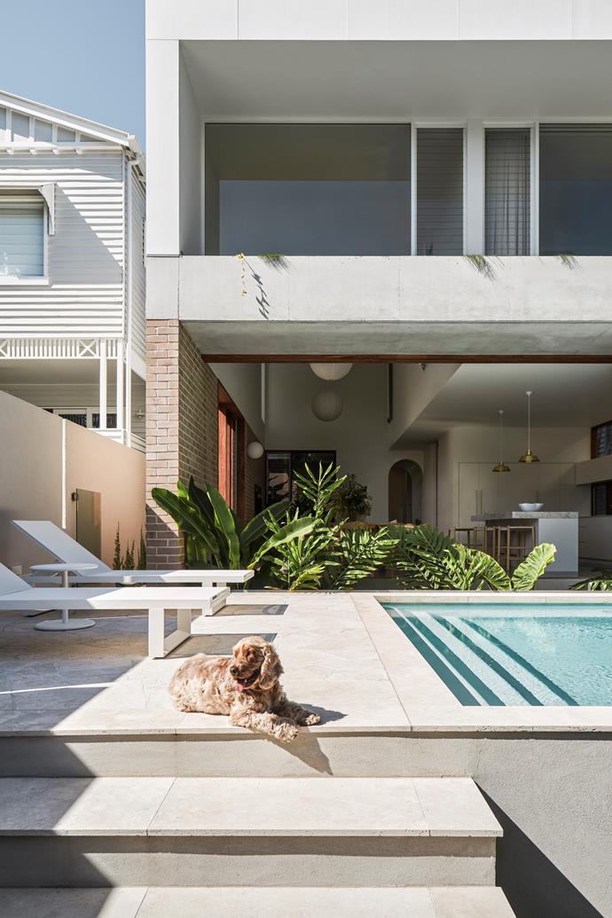 In this [renovated boundary-pushing home in Bardon](https://www.homestolove.com.au/renovated-minimalist-cottage-bardon-24981|target="_blank"), QLD, a ha-ha forms a de-facto fence that doesn't interfere with sight lines between the living space and beautiful swimming pool.