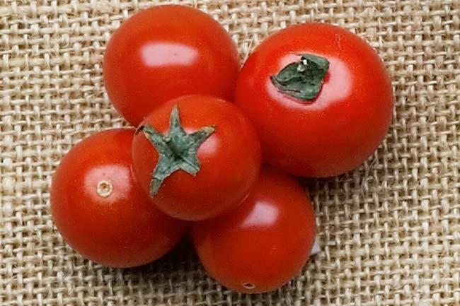 **[Cherry tomatoes](https://www.homestolove.com.au/how-to-grow-cherry-tomatoes-9891|target="_blank")** | These little morsels are great for beginner gardeners and kids. Pop them in your lunchbox for a flavoursome and healthy snack!