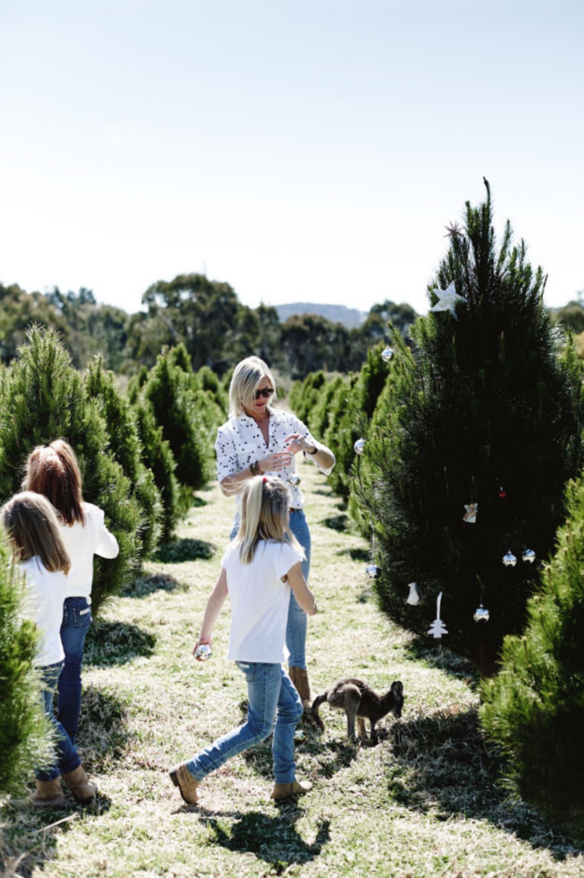 October to December is peak season for Christmas Tree Man, when up to 15,000 trees are cut and delivered to a mix of wholesale and retail customers.