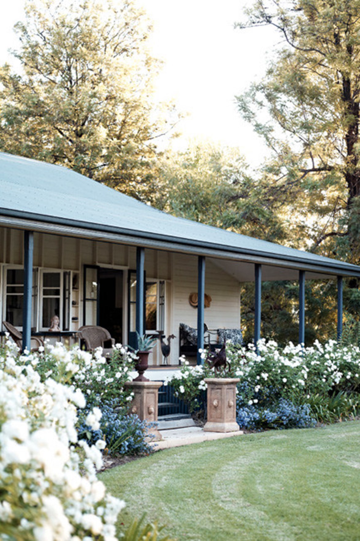 A 1900s [homestead in Queensland](https://www.homestolove.com.au/queensland-country-garden-13018|target="_blank") makes a strong first impression with a striking front garden abloom with 'Iceberg' roses. The garden was designed by Megan Turner and her husband Scott, who are often visited by curious emus and other [native birds](https://www.homestolove.com.au/attracting-native-birds-to-your-garden-australia-6368|target="_blank"). *Photo: Jared Fowler*