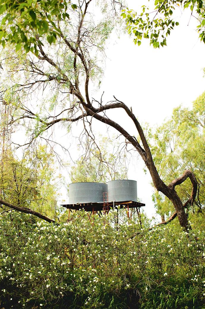Water tanks peek above the garden thicket.