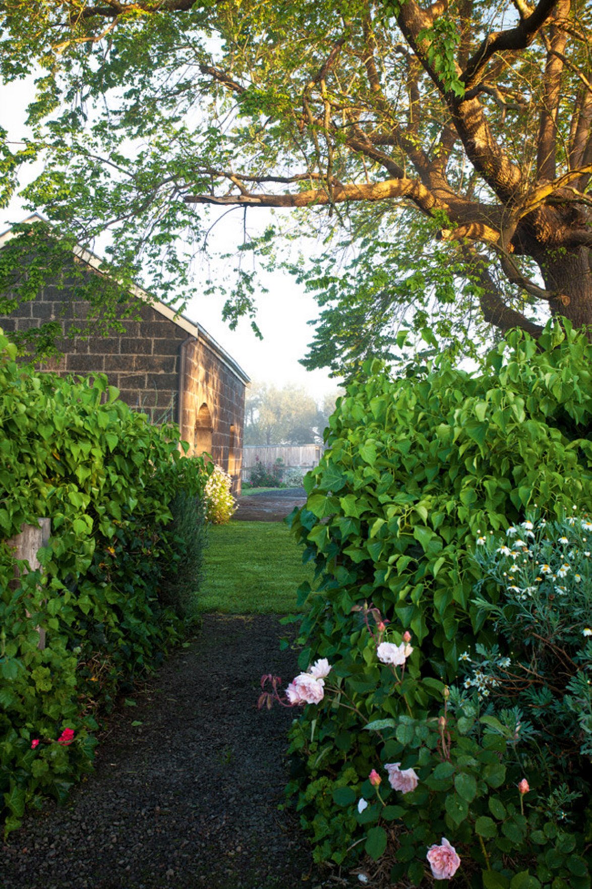 An informal country garden, brimming with David Austin roses plays up the charm of the [historic grounds of Correagh](https://www.homestolove.com.au/correagh-garden-13150|target="_blank") at Hamilton in Victoria. Roses bloom in harmony with geraniums, daisies and spires of echiums. *Photo: Claire Takacs*