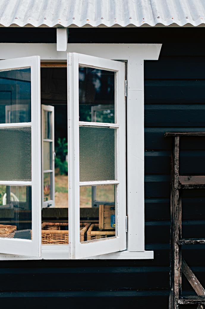 A pair of windows create a cooling cross-breeze inside the studio.