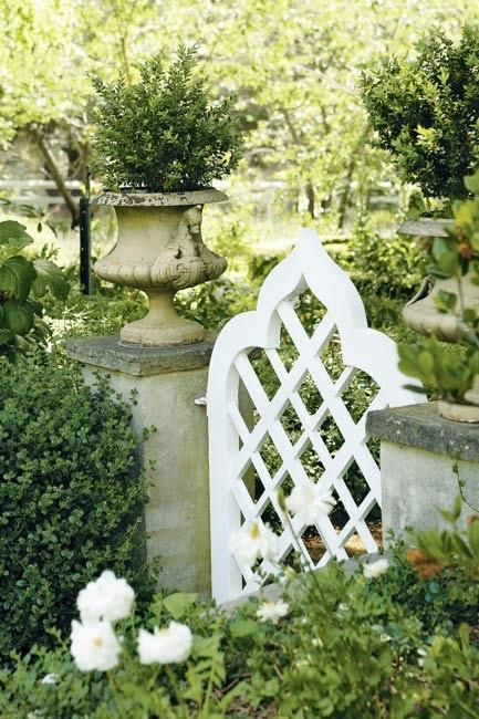A white gate stands out amongst the greenery. Marylyn's addition of more lasting plant structures characterised by ordered geometry, however, that brought a new harmony to the garden.