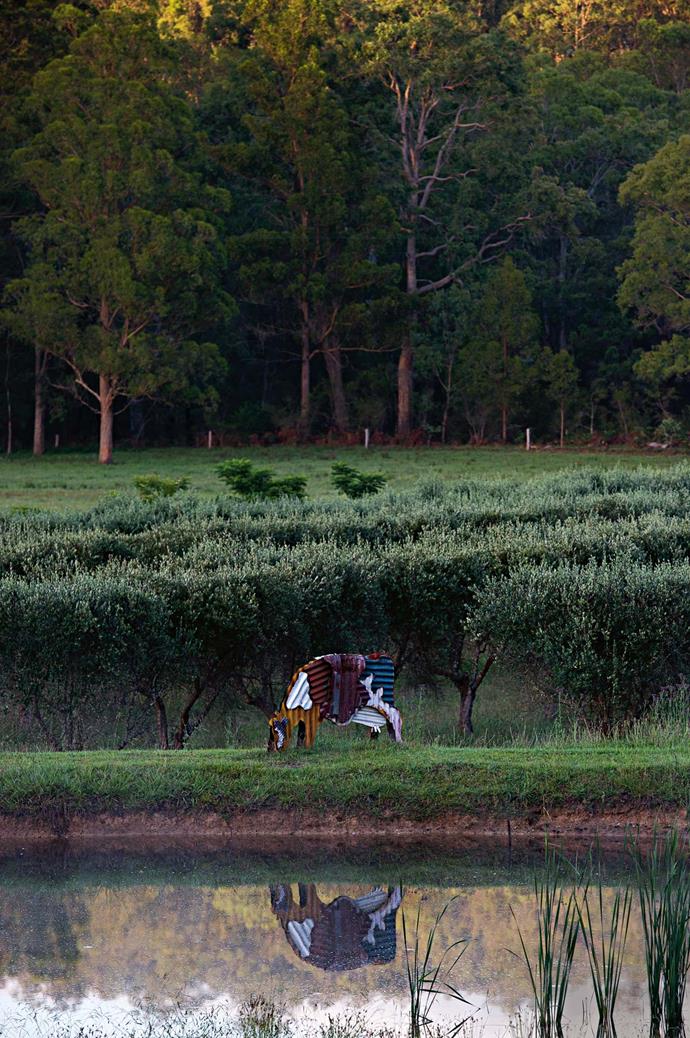 Jeff Thomson's corrugated iron cow sculpture stands by the pond.