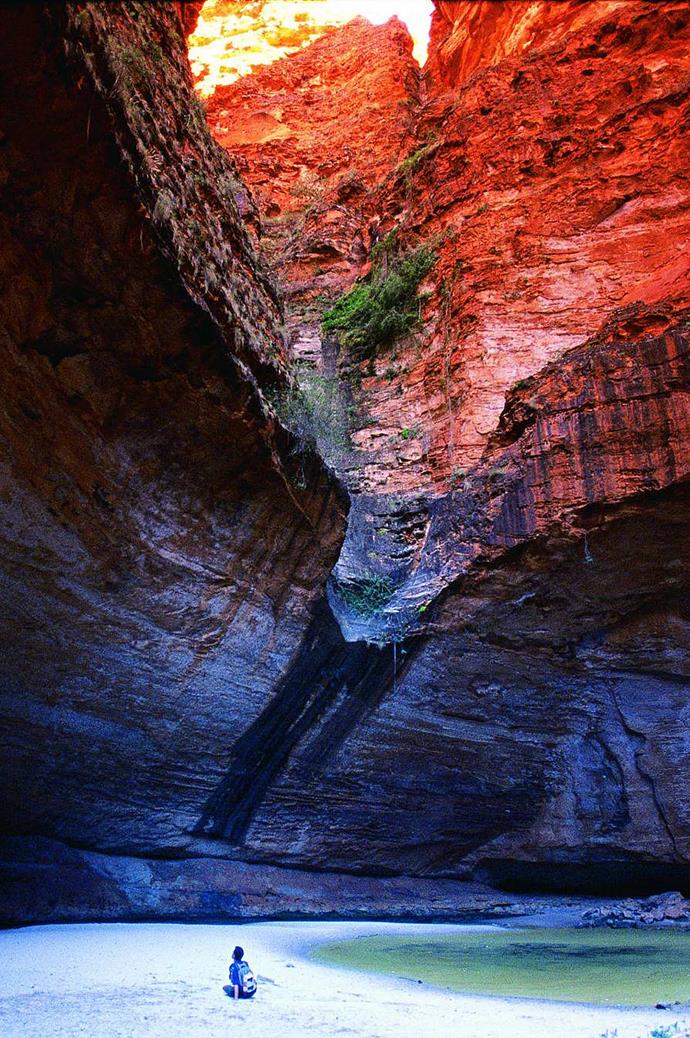 One of the Kimberley's many national parks is Purnululu, where hikers can crane their necks up a mammoth red-rock amphitheatre named Cathedral Gorge. Image courtesy of [Tourism Western Australia](http://www.exploreaustralia.net.au/blog/2013/06/27/14-national-parks-to-visit-before-you-die/). 