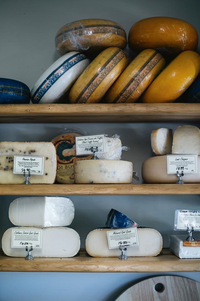 <p>**TRY ALL OF MALENY'S AMAZING CHEESE**
<p>The Maleny Food Co also has a fromagerie and a retail shop showcasing local gourmet produce.<p>
<p>For more information, visit [Maleny Food Co](https://www.malenyfoodco.com/|target="_blank"|rel="nofollow").<p>